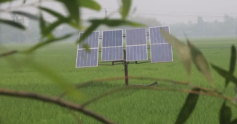 সোলার ব্যবস্থায় সেব প্রকল্প